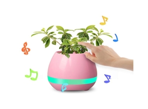 MUSIC POTS