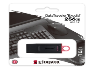 MEMORIA USB 256GB KINGSTON DTX 3.2 EXODIA