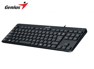 TECLADO GENIUS LUXEMATE  110 USB BLACK SP