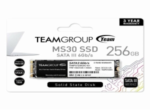 SSD 256GB M.2 SATA TEAM GROUP MS30 TM8PS7256G0C101